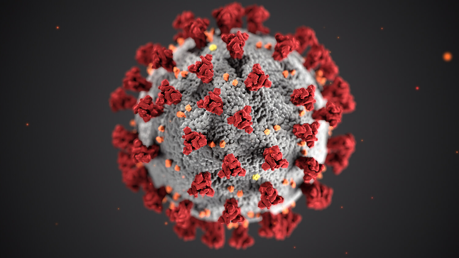 COVID 19 Virus Image
